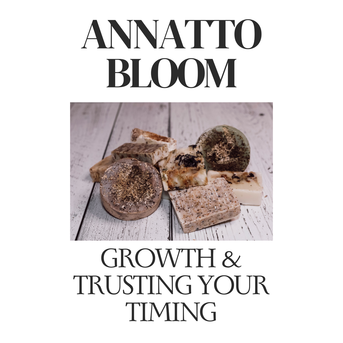 Annatto Bloom — Growth & Trusting Your Timing