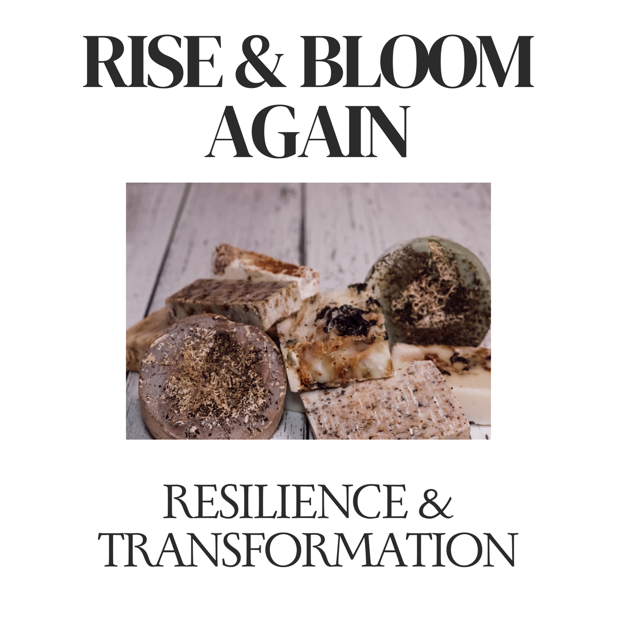 Rise & Bloom Again — Resilience & Transformation